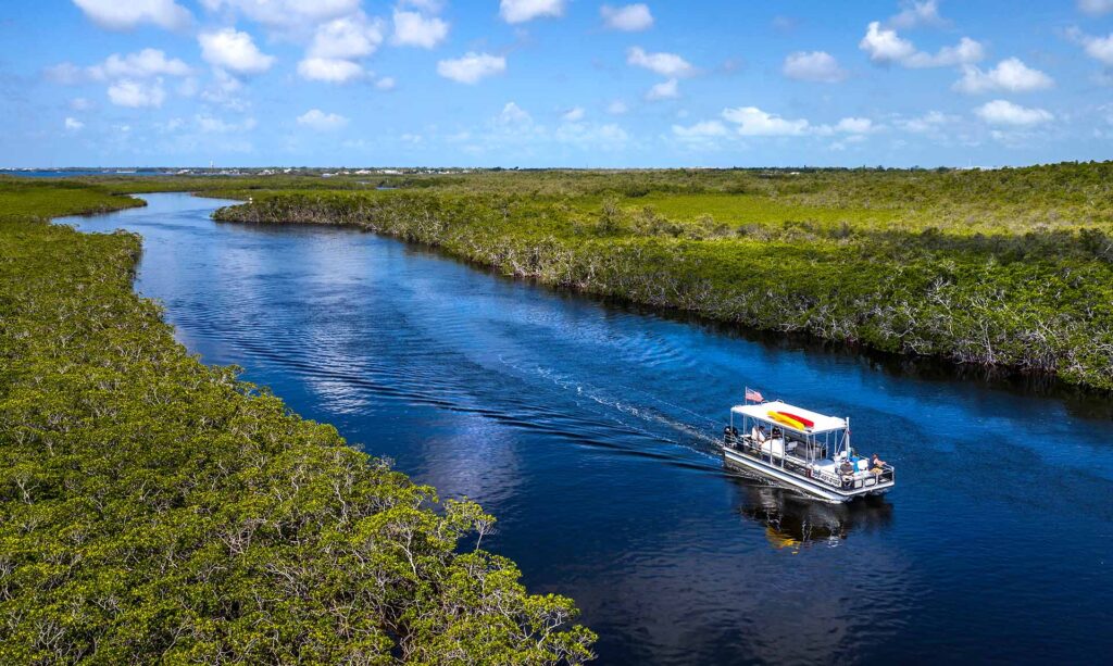 Accessible tour boat floating through the mangroves in Key Largo for Captain Mick's Tranquil Adventures