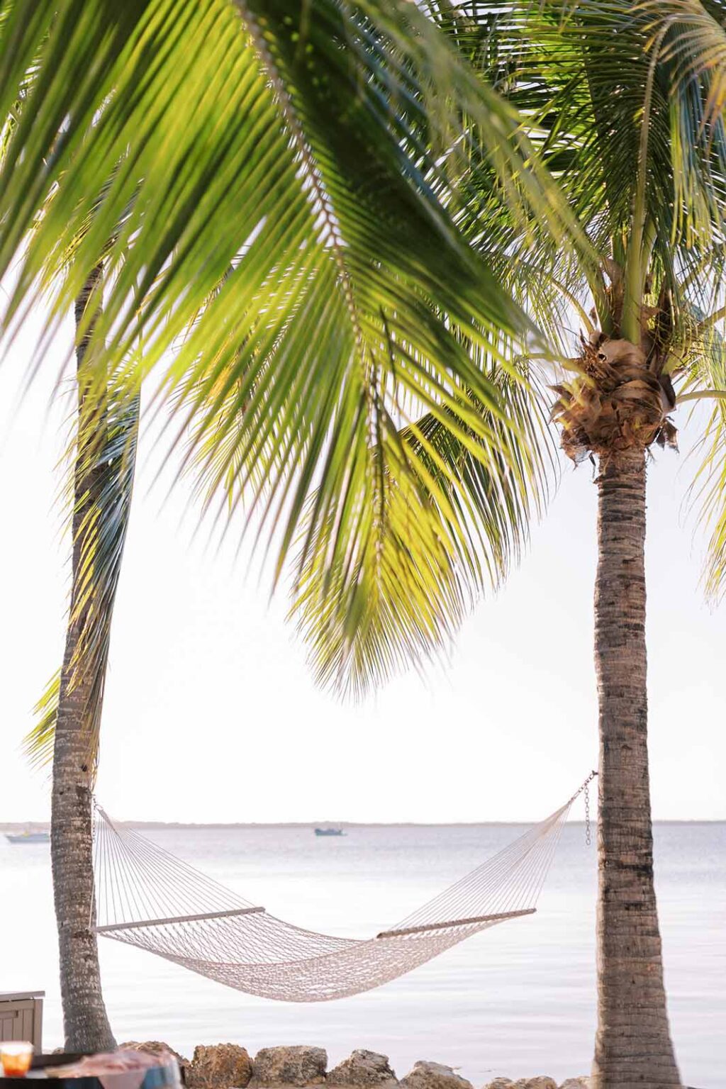 Hammock tied to two palm trees at Largo Resort