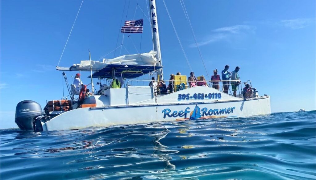 Reef Roamer Catamaran boat